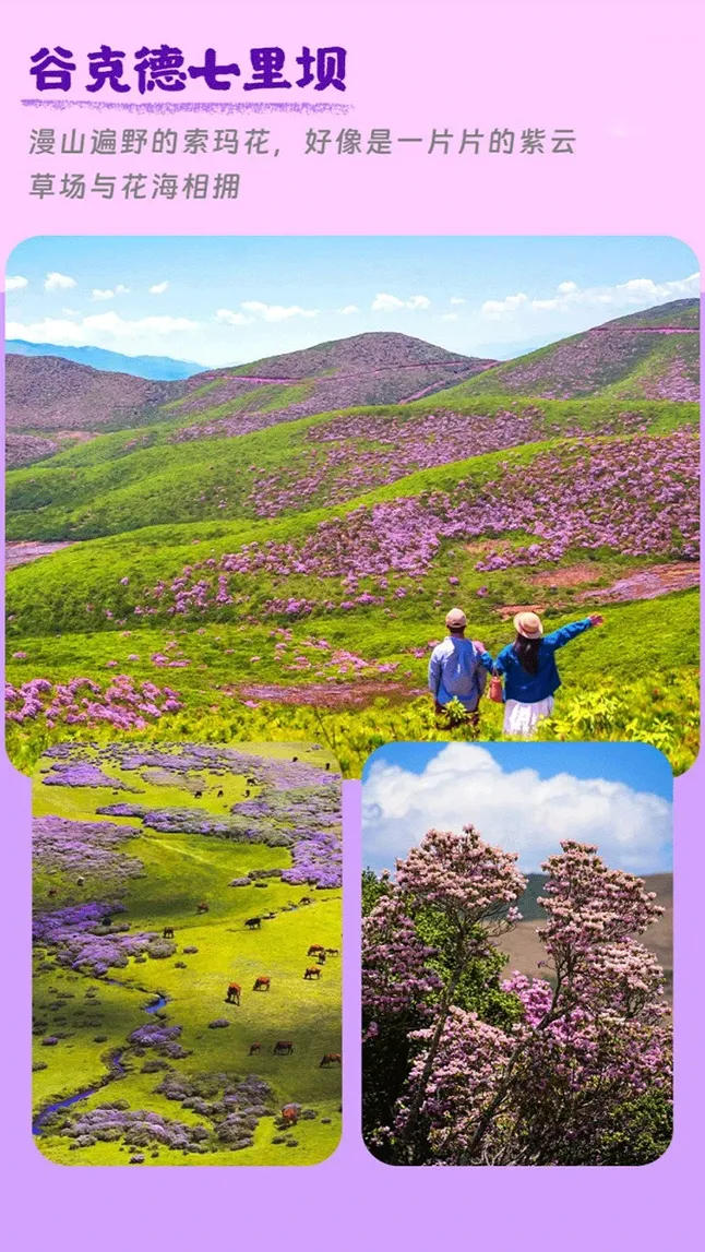 11d19865151c71698a0e698547e45b5c-sz_1273205