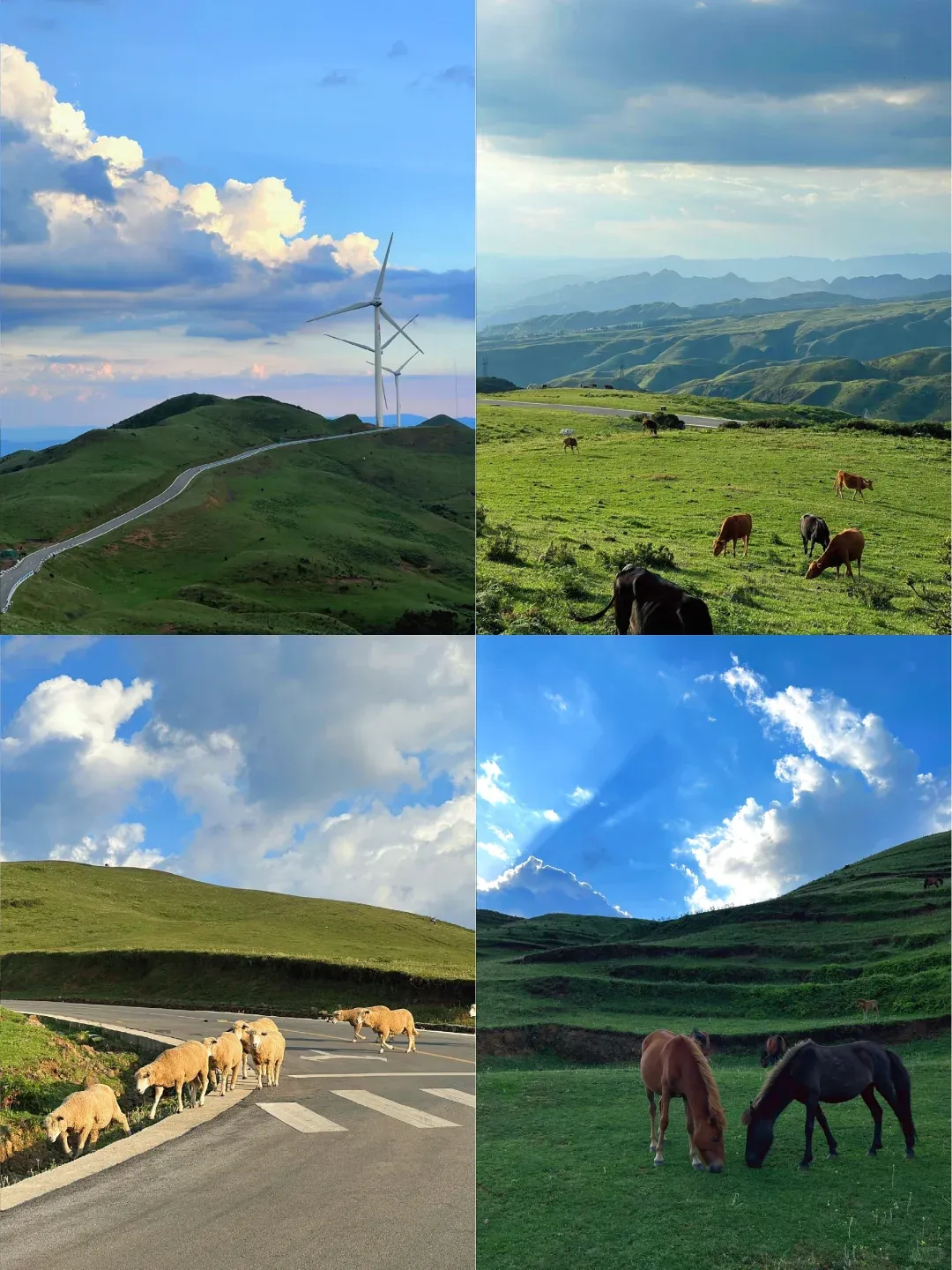 12054638dcd6f0a29b05e273430922d1-sz_2303836