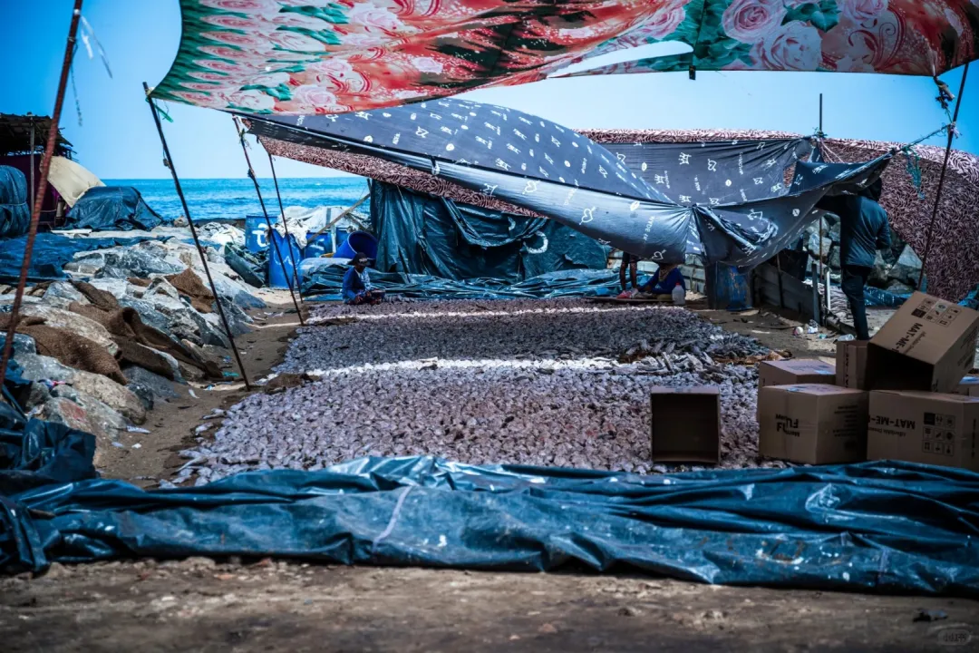 1248735e385e926034b228d19bbbbec5-sz_592715