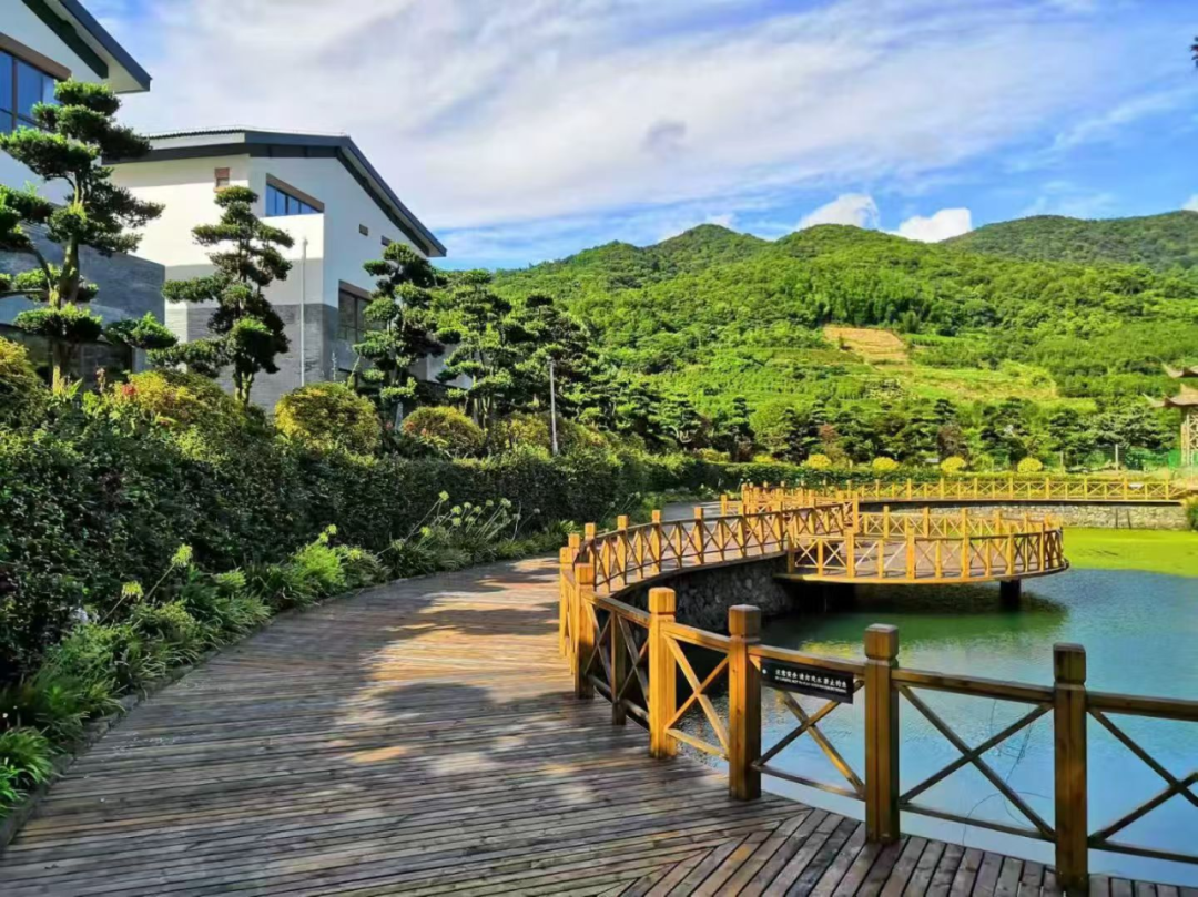 12a8ece73ea2ef81ffd7f32a0ac24b97