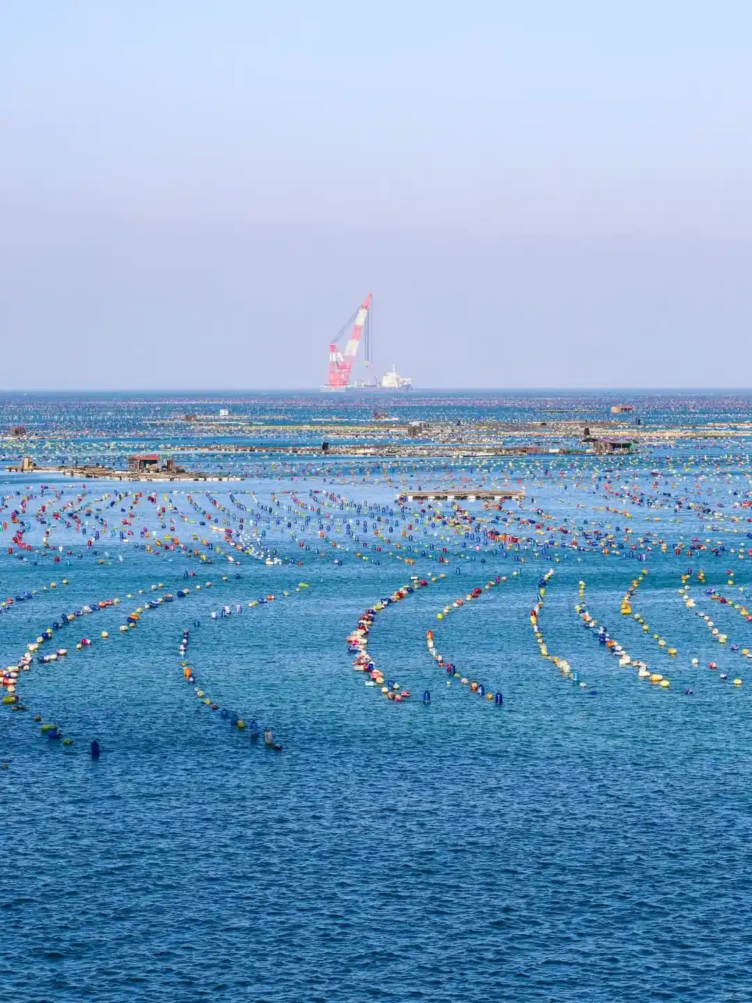 12b47d3a98082e4cd3e1606436e65d8d