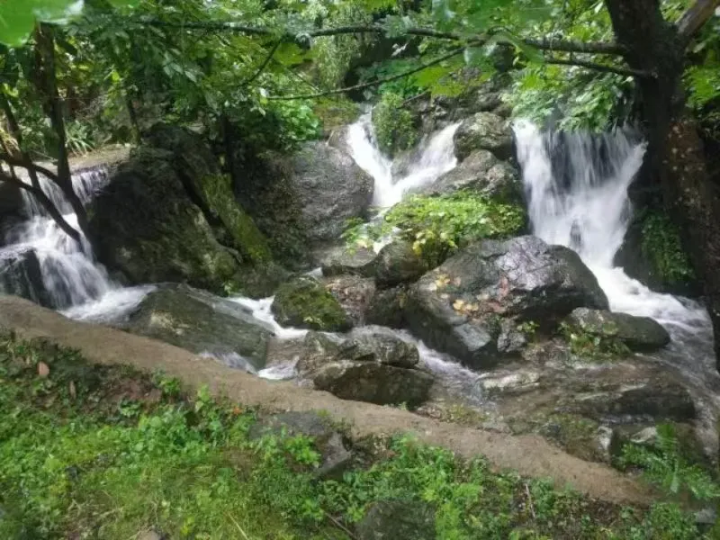 12e539279c117bd53d23d06b834c6db3-sz_1253949