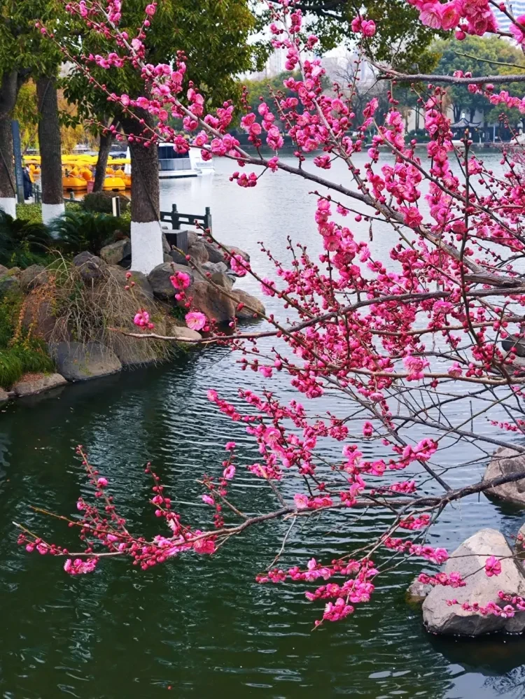 12efa94b480835db739c942540b65ebf-sz_707901