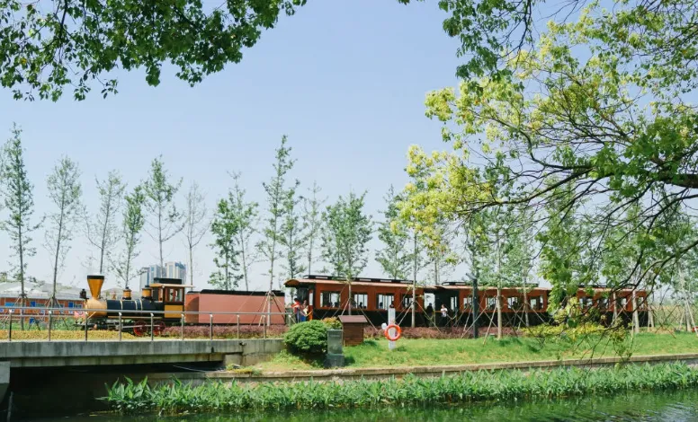 134a90c3784012abd8f3908067a25d4f-sz_800107