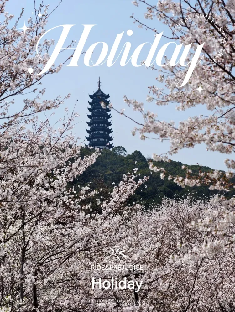 13bd7ac1df0ca83a8c4819505c5fefe6-sz_2133231