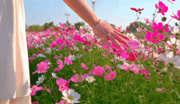 13d855a5c2014664e707332d4656a23b-sz_2763284