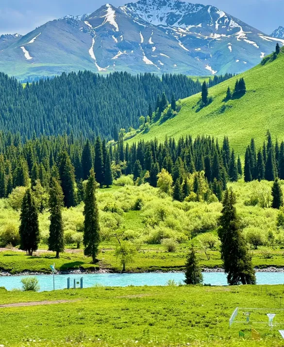 13df58f0685c9c564e1da6e416a8f804-sz_1150513