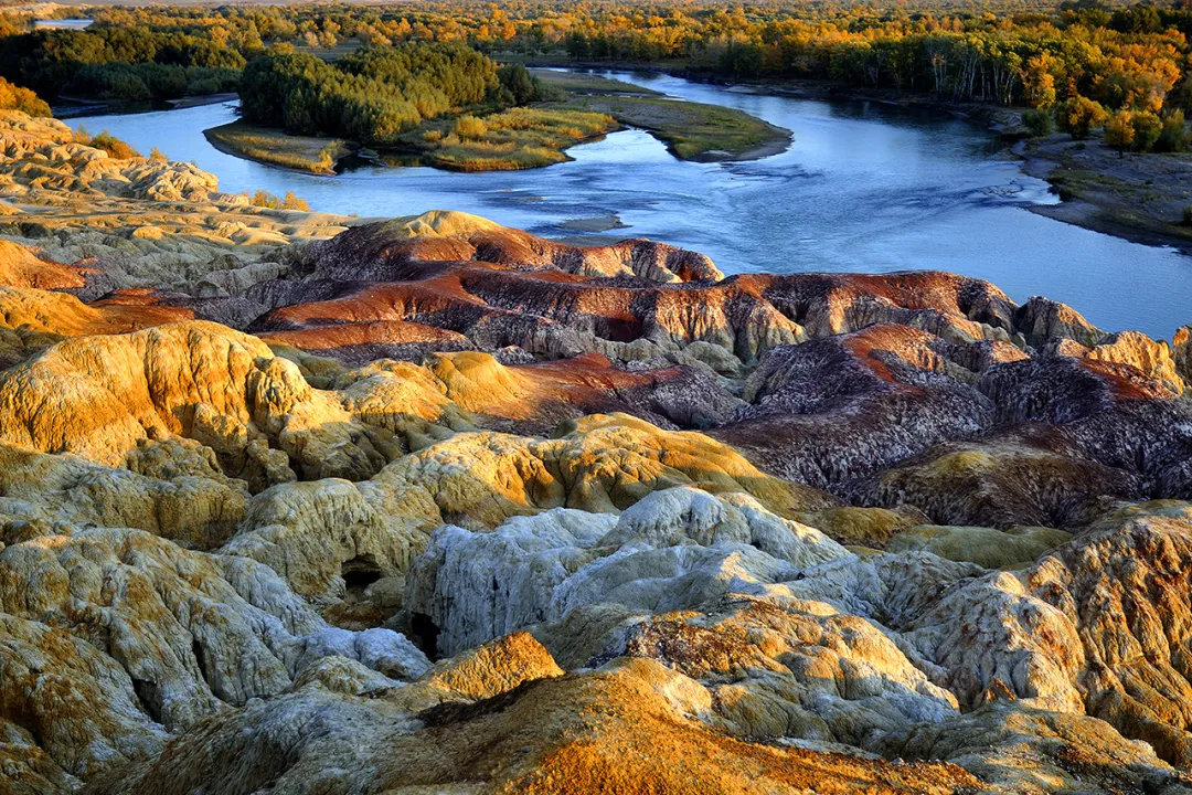 1427819be2654b464524a888ffb3446d-sz_1637047