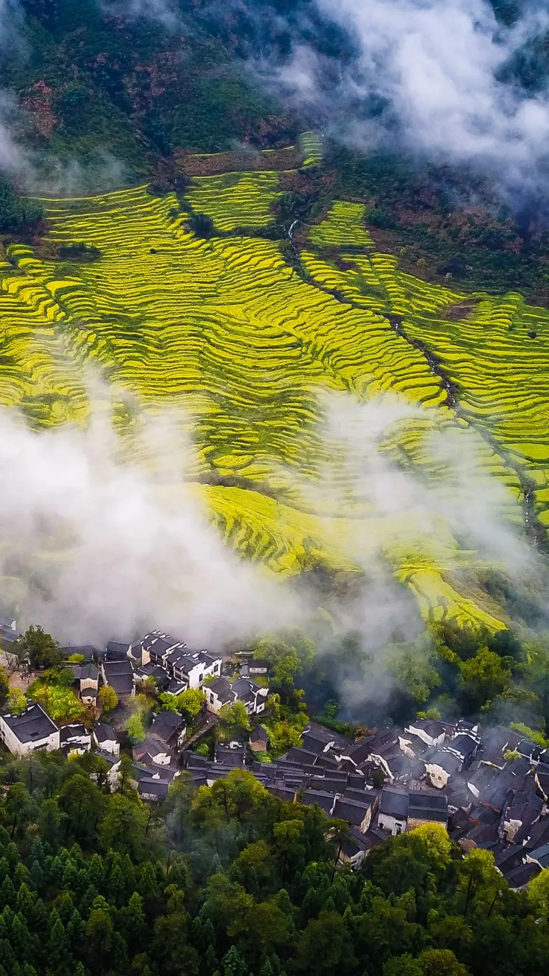 146facc6eb4122c98b9c897e81d41197-sz_435373