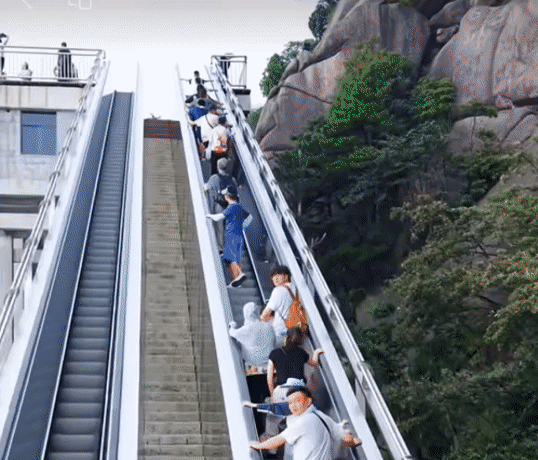 15144358de1ce2c673ed76d2ea50805b-sz_8463932