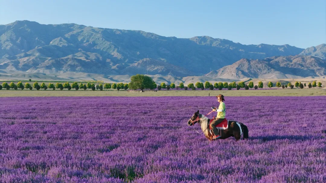 1577fd790ed77d3ffb6d1e5e1f907274-sz_3527826