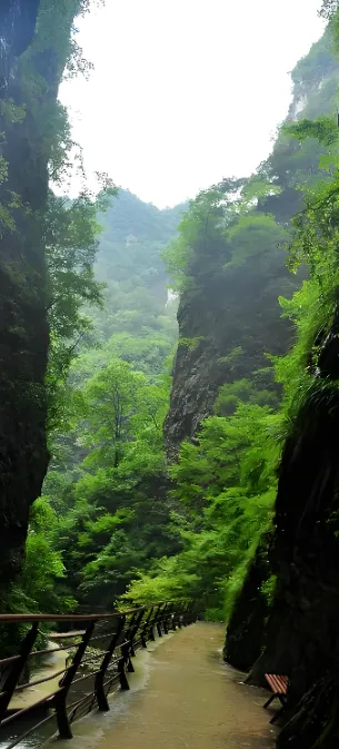 164611ab0545d2144b03180573a6ec27-sz_359862