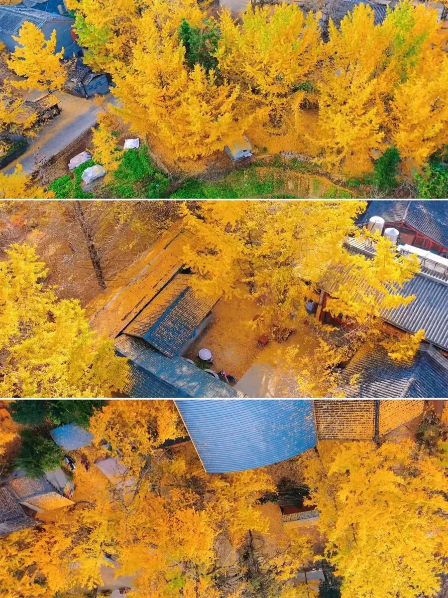 1661194b9ad8f56dabc13e761ef9aa73-sz_3151770