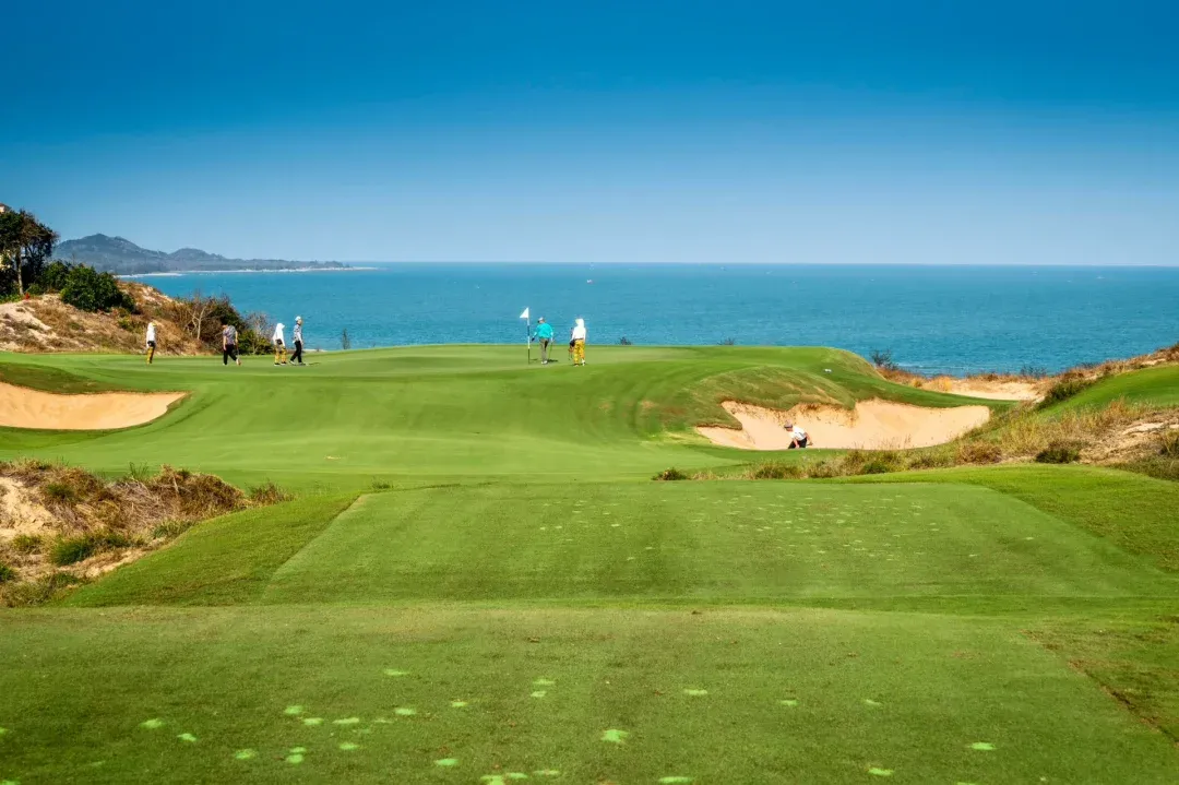 17c1e8e5c0897d50c98679f8fdc1dbd6-sz_2851628