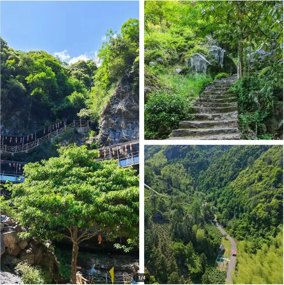 18d65b67b0bfa0850d125d688a812599-sz_2414879