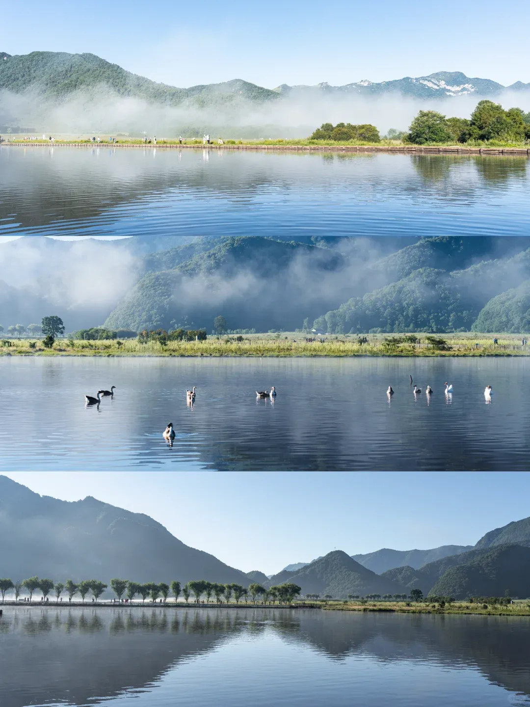 190291834c30f70b2ef4a49959744d99-sz_1549117-2