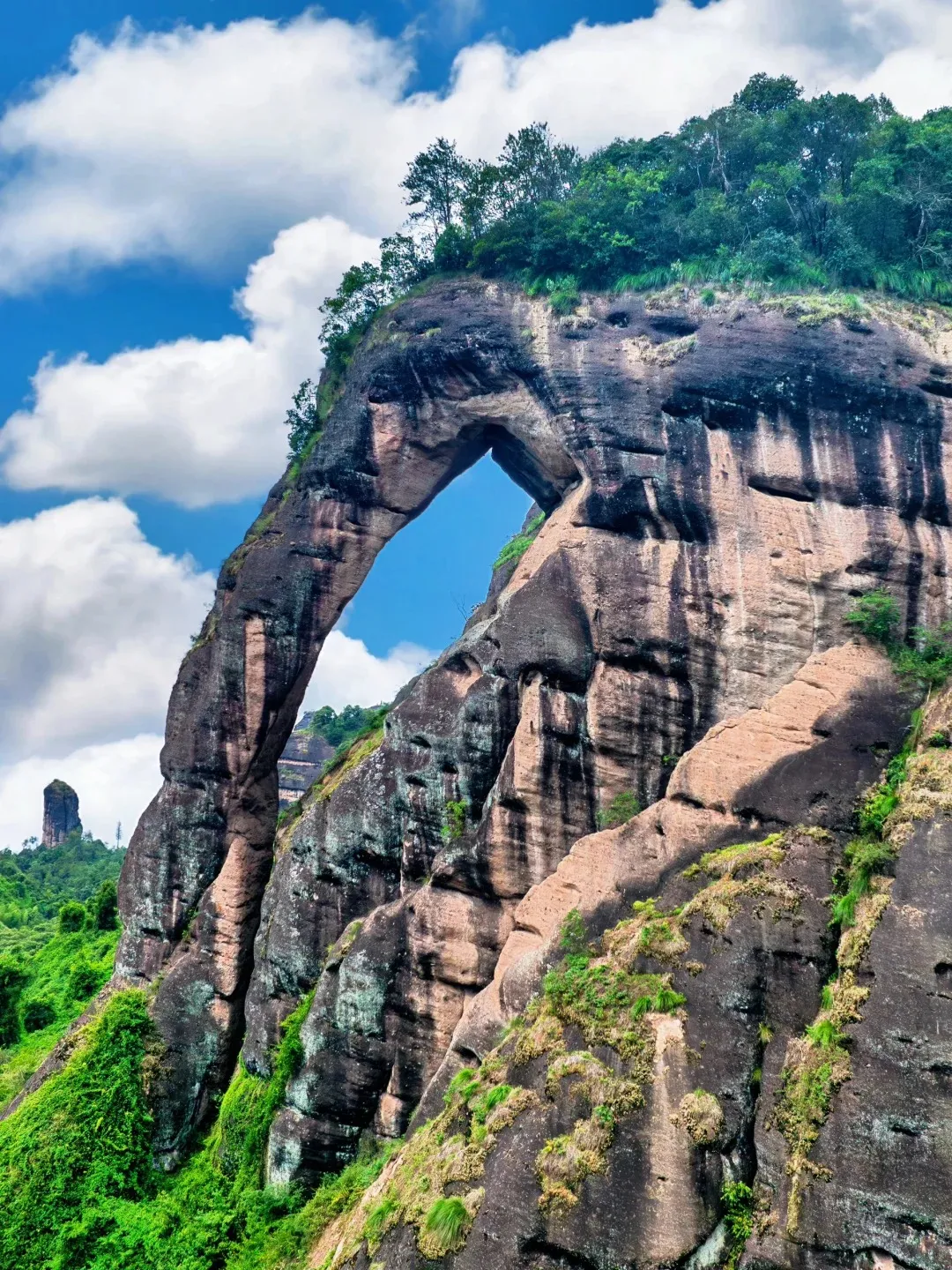 194f8eb91137a7acd460cd35565b4cbd-sz_650759