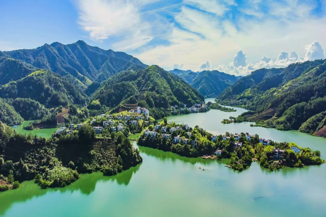 1959f4763954d182adec2054f7d36fe4-sz_448617-1