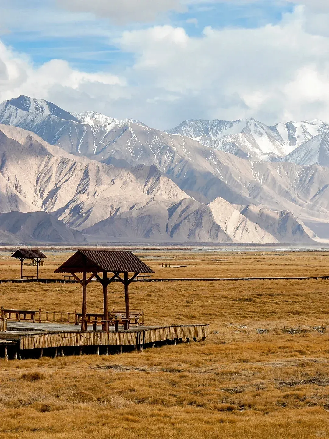 1967b891a341b3003188024133be7567-sz_2725201