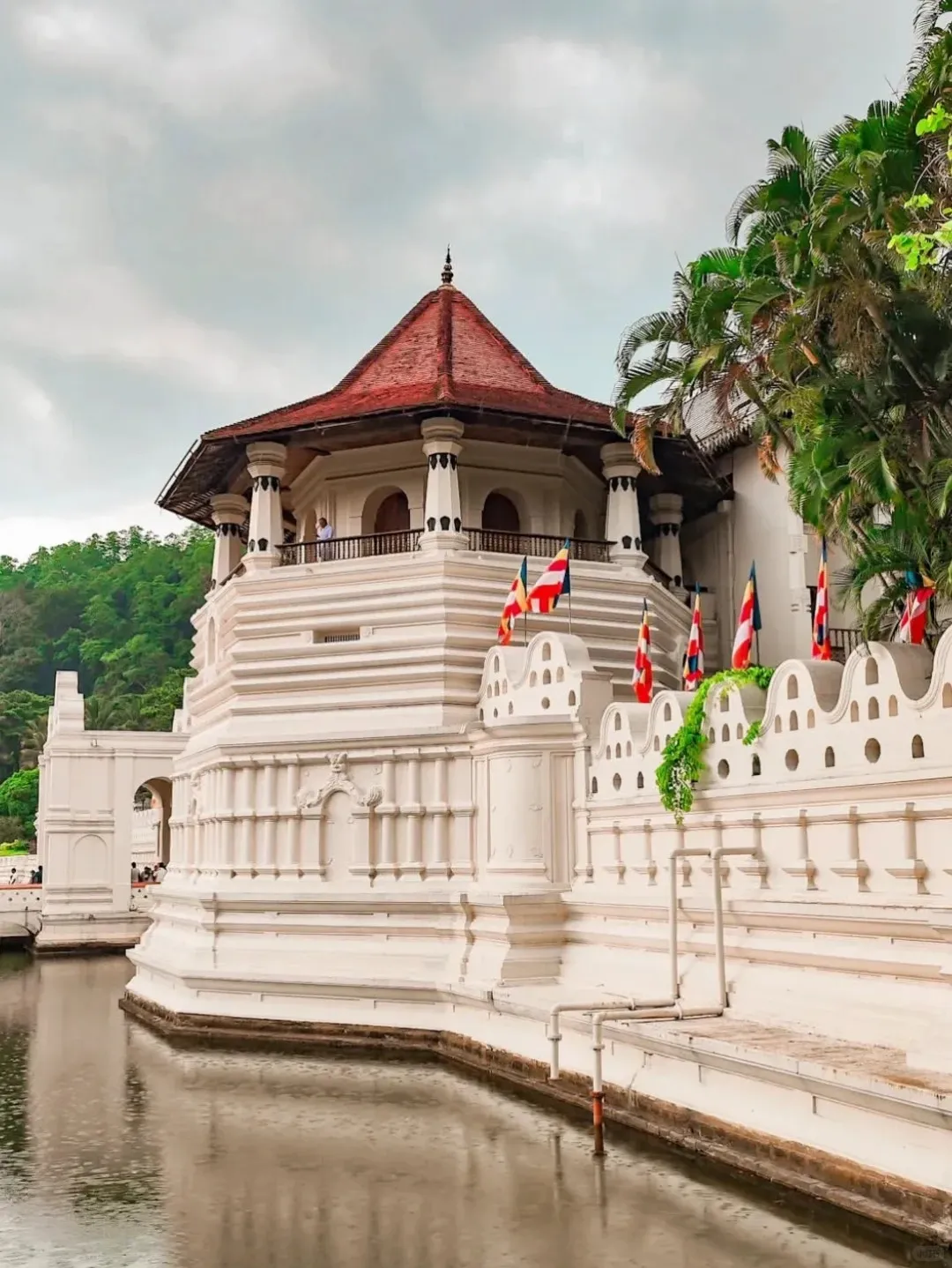 19a2373a5f04f98b8141c195b1d8bc8c-sz_341004