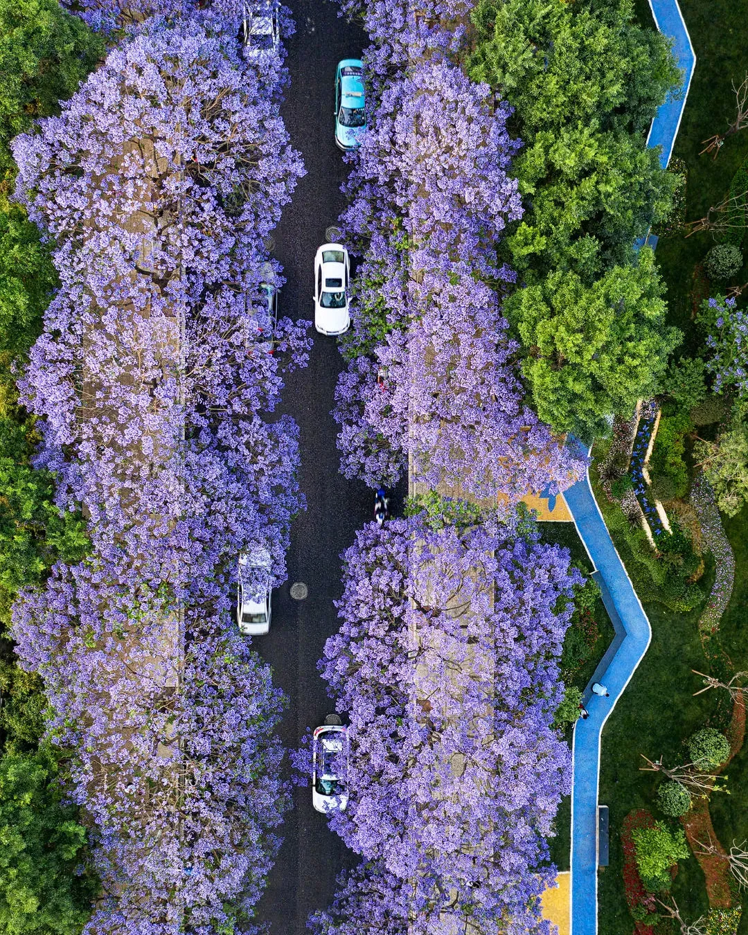 1aae8f2c1bd41b5e6ca7fdea494b8e4b-sz_3112166