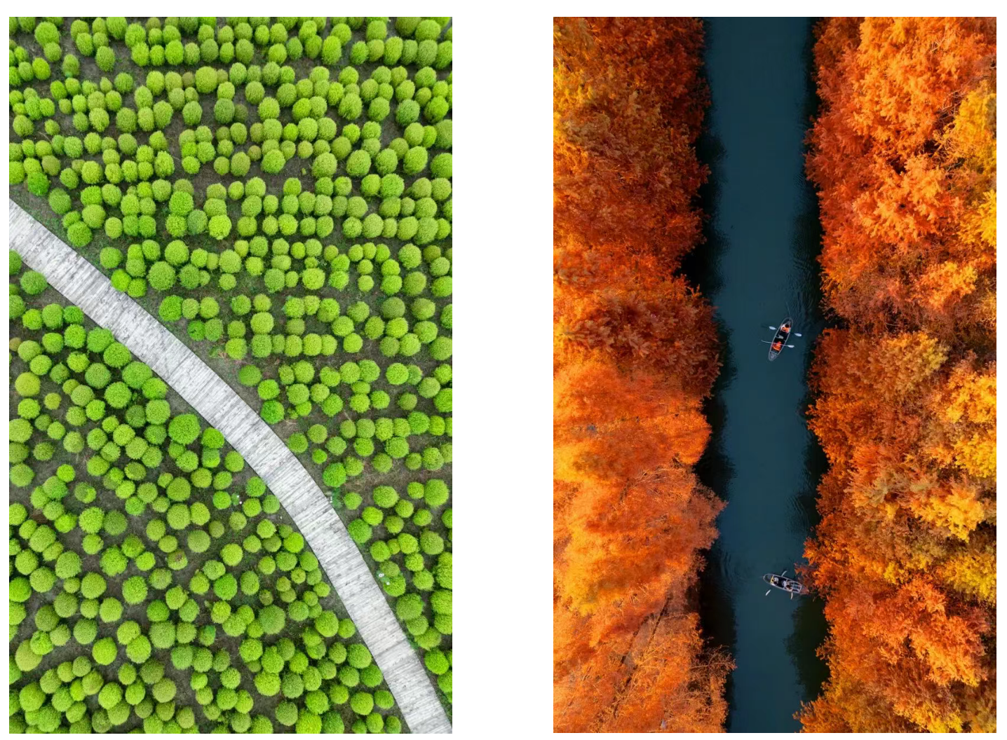 1b45fad8ea537834088c248ef9815839