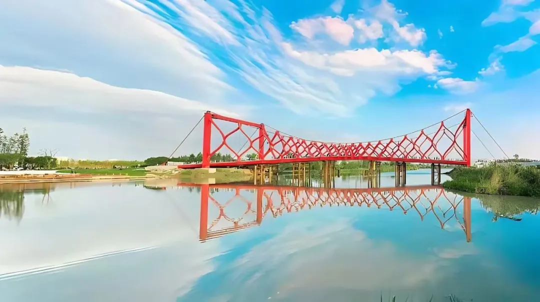 1b5a37a1e9bf60b95cabd68f96192cbb-sz_118978