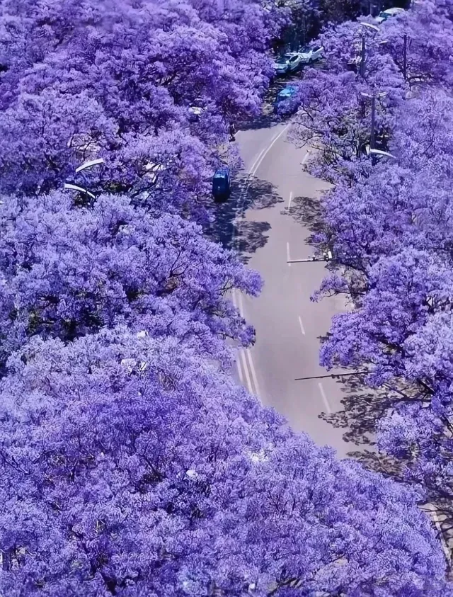 1bfdf7ec474fb0169c02491c9af5be16-sz_1513601