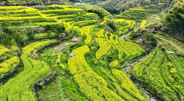 1c513e35acbf240bf38c6ac13a5d7a8b-sz_86742-2