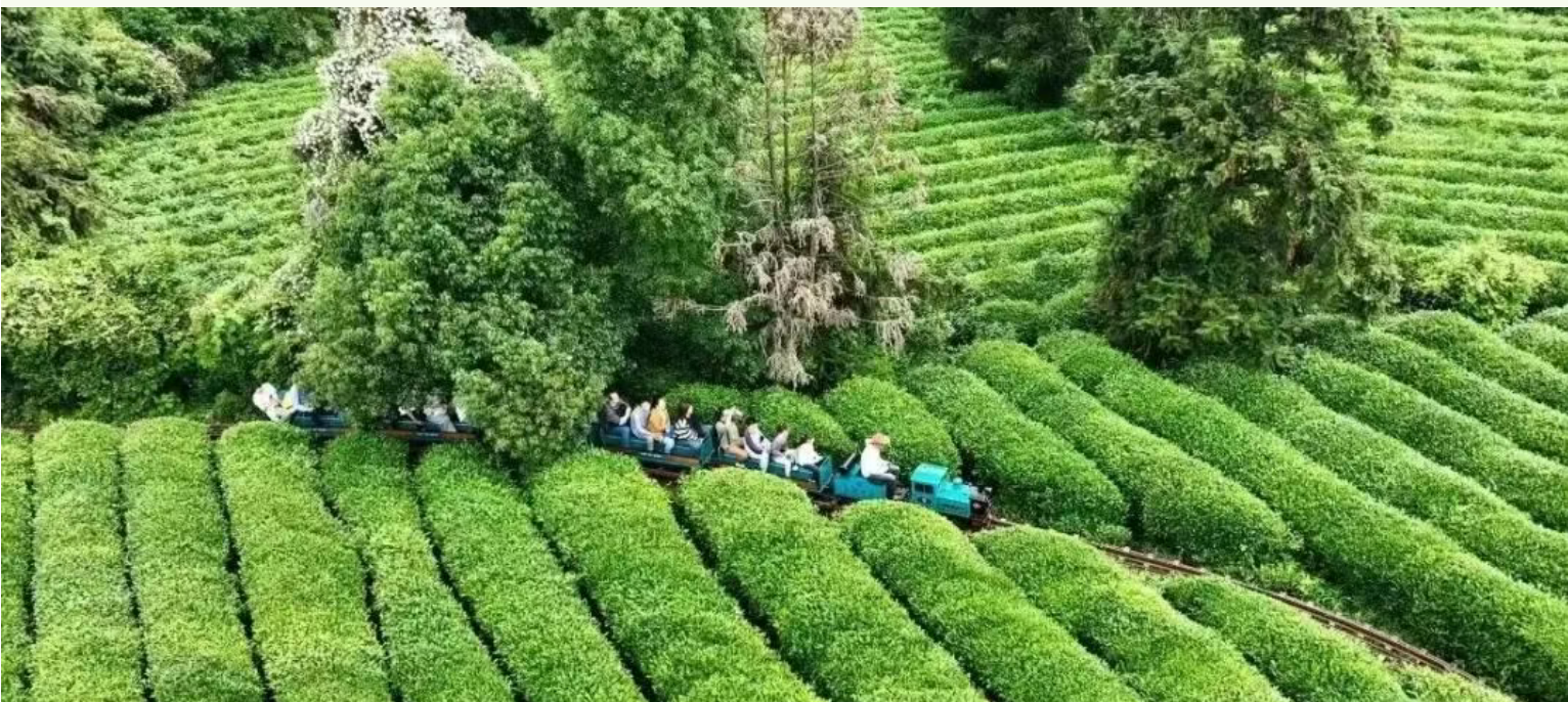 1c55f69aabc5bb1c9551d5823990452c