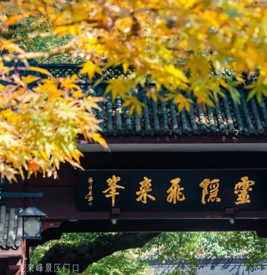 1c8256b9df0e85ffd6d7e60fc6163a89