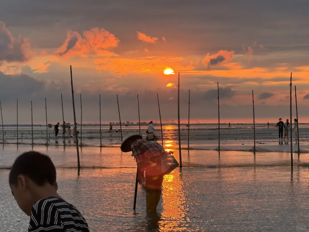 1cd65ef733ccf37f24785a59d5986432-sz_2581930