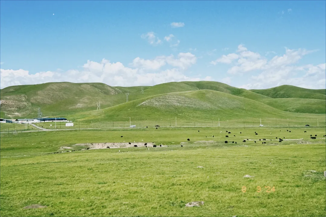 1d601a84179d07c06c8ea8d857d70687-sz_2962521-1