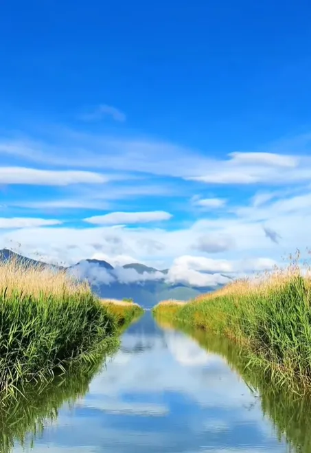 1dd27fa8e5c7b3db16a862eba119596a-sz_584438