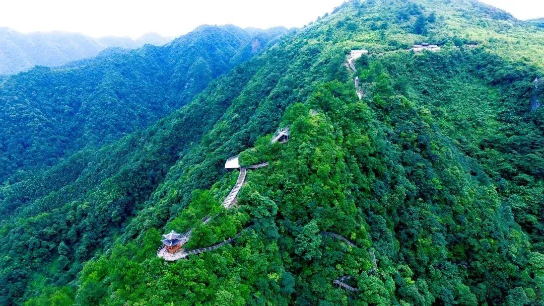 1e1e144d65398f30d503dbabe308344a-sz_1550395