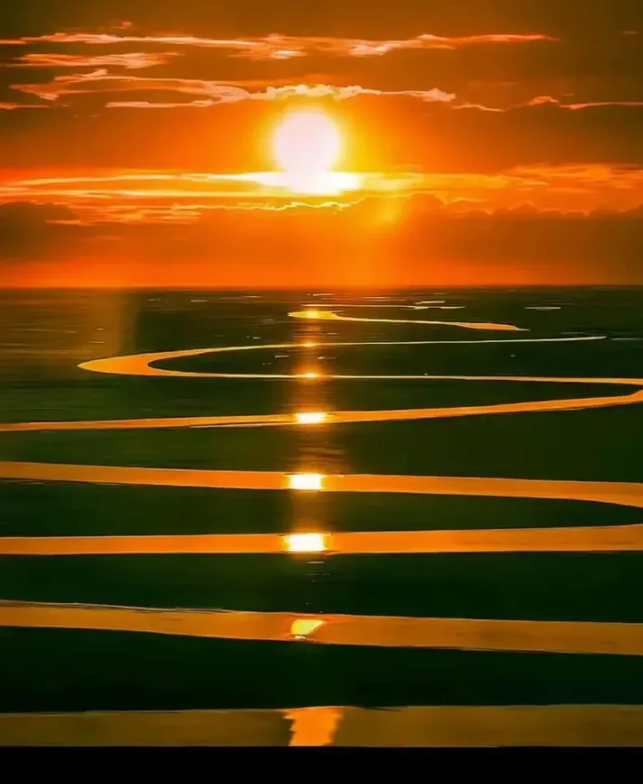 1ebcb59c8b95b45be949a25e8c874d3d-sz_700411-1