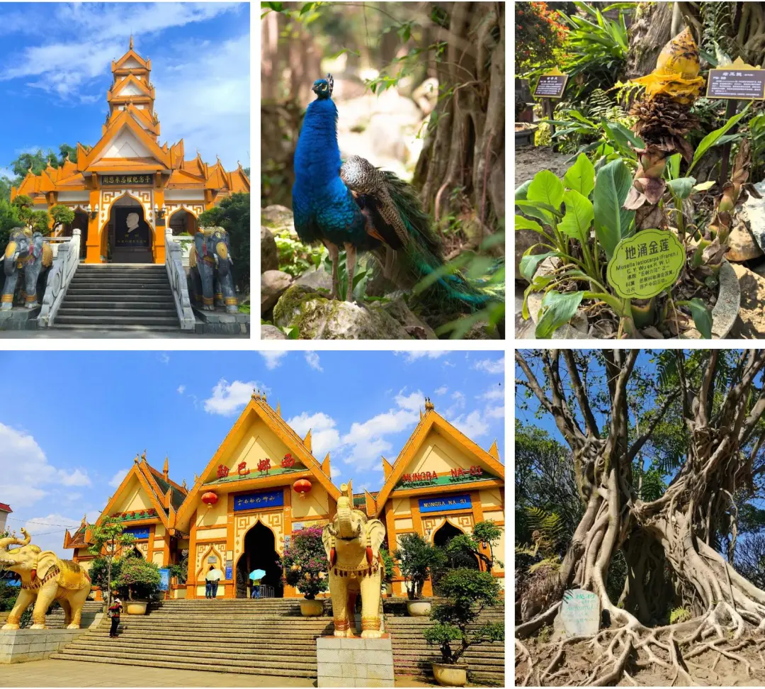 1eccb20c908a38a59d2c985046fb267c-sz_499960