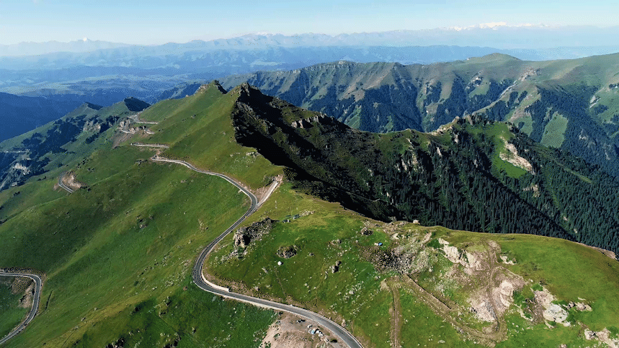 1f4089c6fb80a673c8a5d9c624edd176-sz_4698051