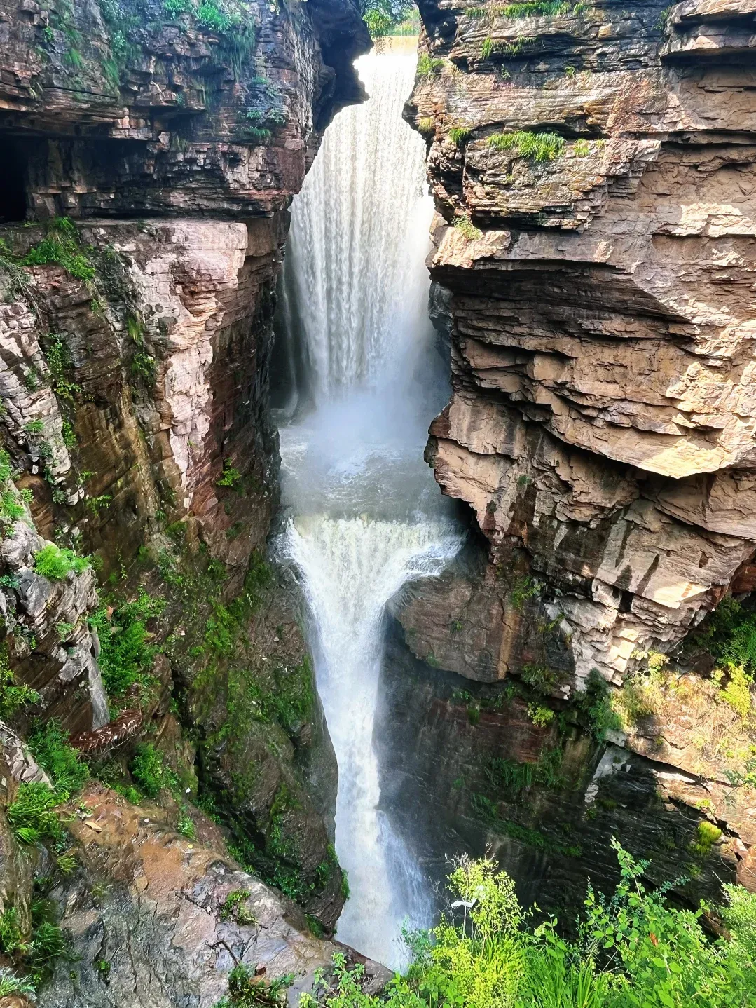 1f71df2579e4e164671a37aadddd77ee-sz_3472127-1