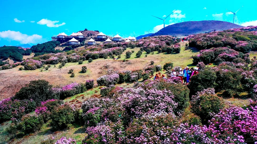 1f9667e066aa912a04067aa063a6f837-sz_4550762-1