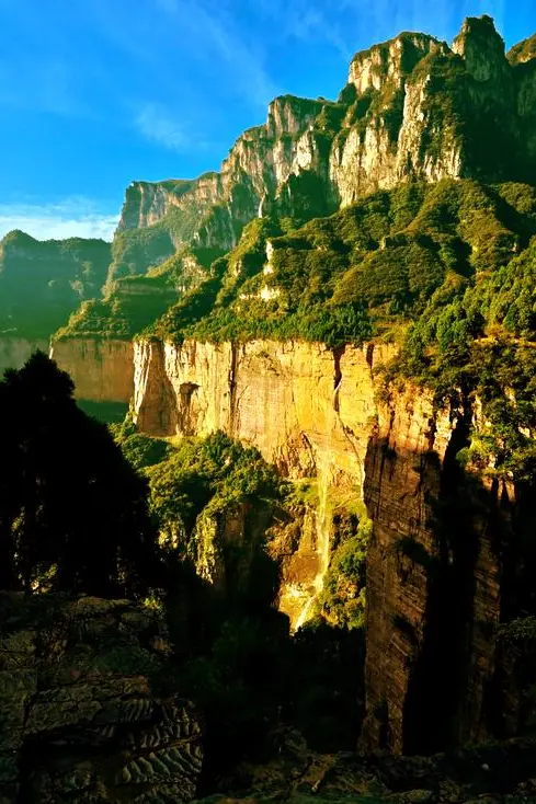 1fcd4964cd41958431b60c863ed5f0ee-sz_81265