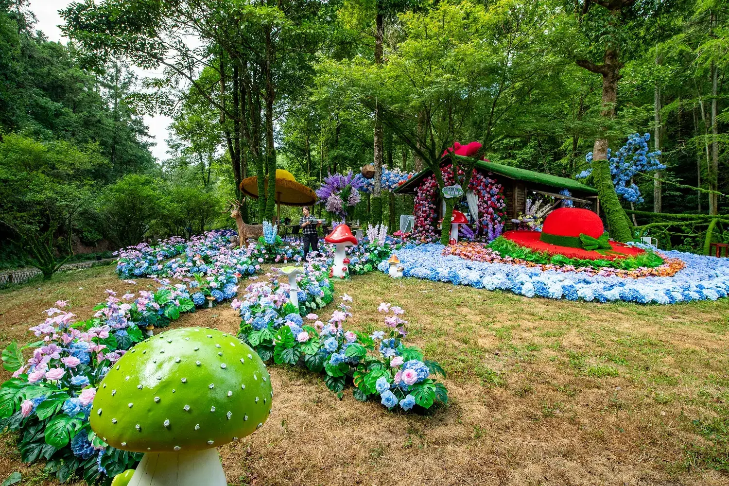 1lo4q12000m9c6bapCBC7_W_2048_1536.jpg_