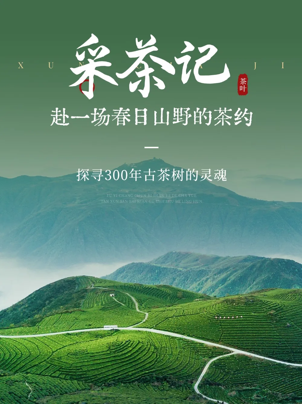 2186369b1ab1082a98f6b9122d096496-sz_330126