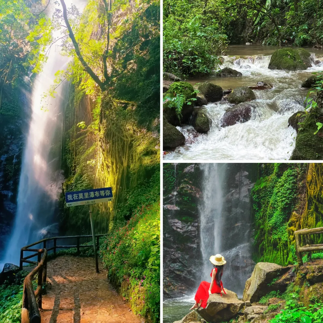 21fa29785dcde641197c3ad1b3a14a29-sz_3334888