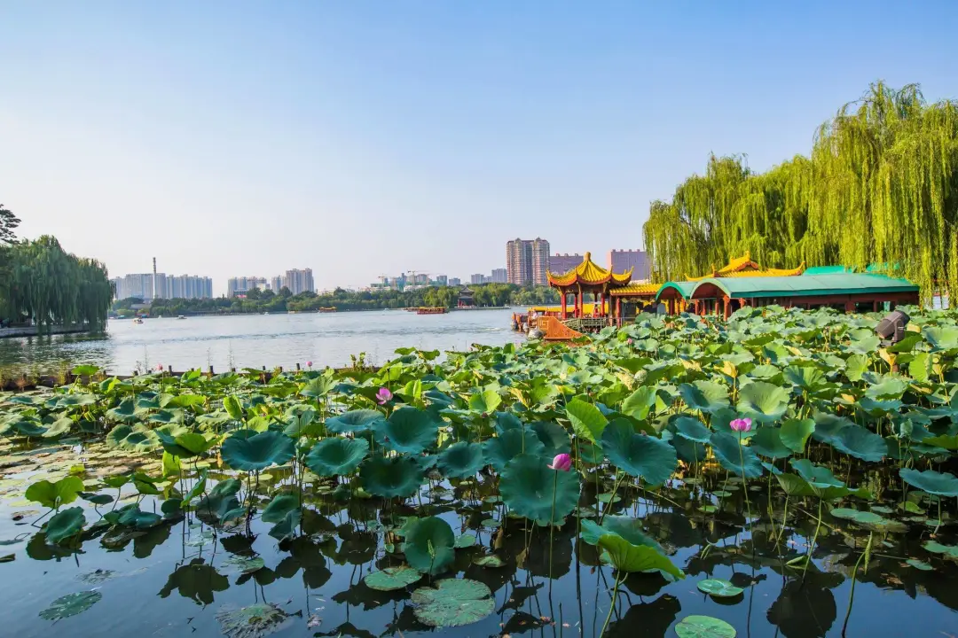 220047eff793ba3be7423375f88828e8-sz_421486-1