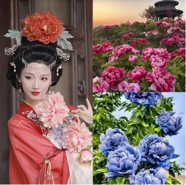 【特价河南】双卧6日游899元起，少林寺+龙门石窟+老君山+洛邑古城+峰林峡+青龙峡