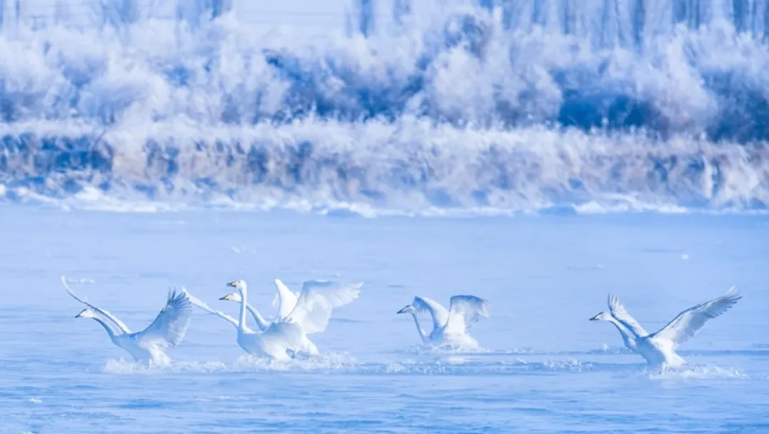 22ccb19788d64cb36556f09e741946d3-sz_1389856