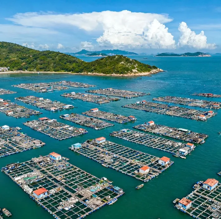 23386a69b6323b16014a6f558f8eedd5-sz_1245552