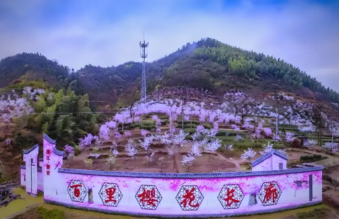 2393e1395cb33594a32405efd18c8ac4-sz_756538