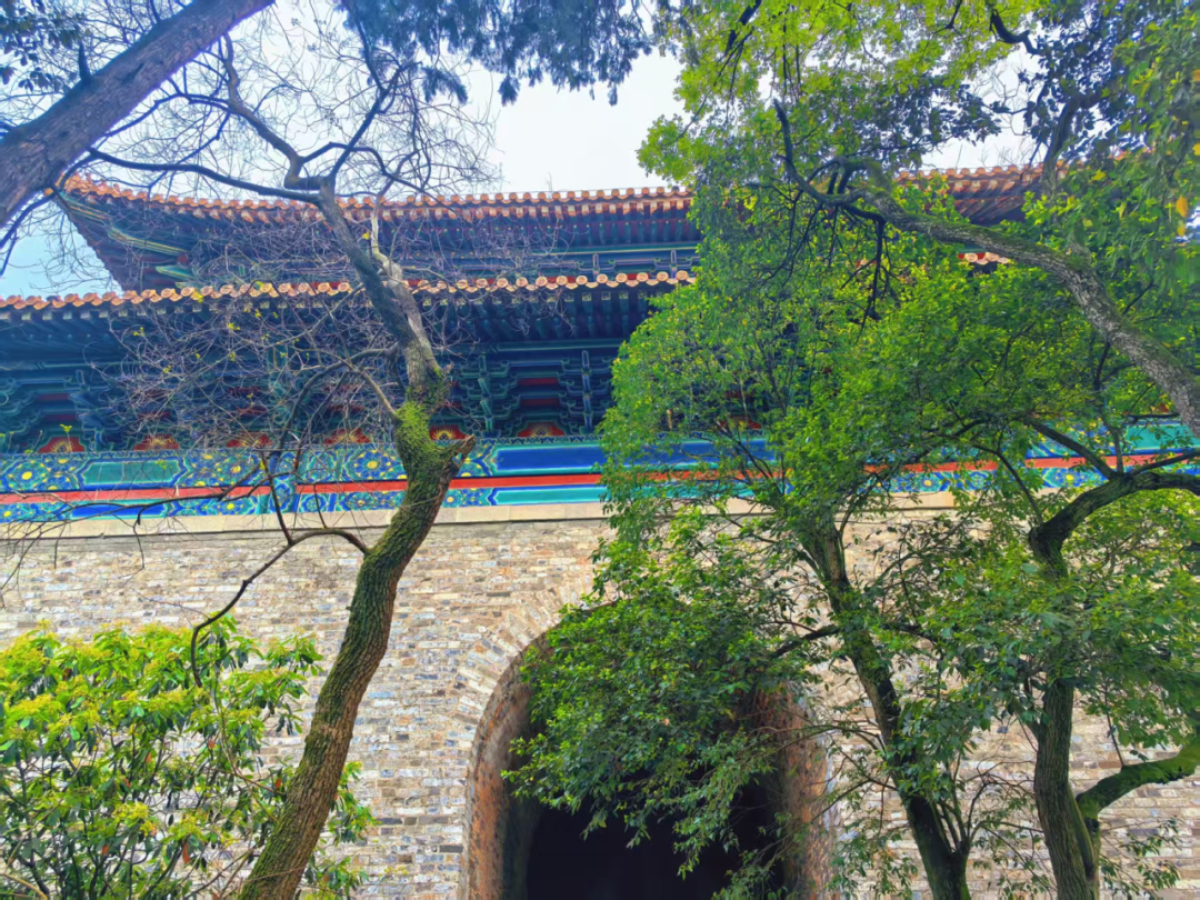 23a230ba0284b85f75a681b1eddc1083